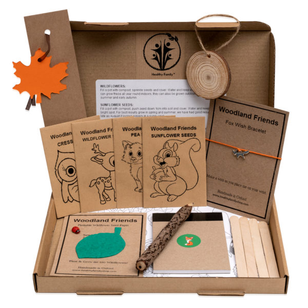 Woodland Froends Activity Pack For Kids