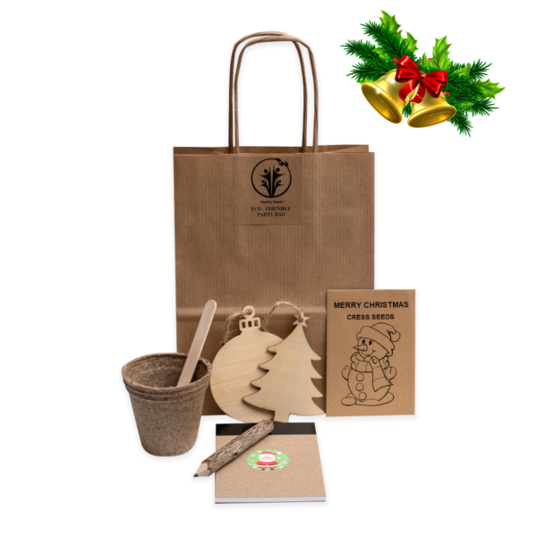 Christmas Eco-Friendly party bag for kids
