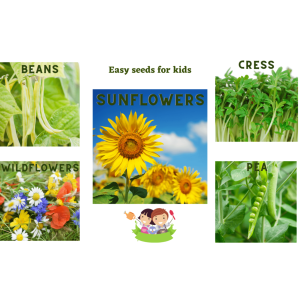 flower seeds for garden